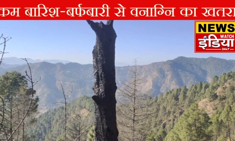 Lack of rain and snowfall in the winter season in Uttarakhand, increased risk of forest fire