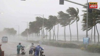 IMD Weather Report: Cyclone Fengal wreaks havoc in South India, devastation everywhere! IMD issues red alert