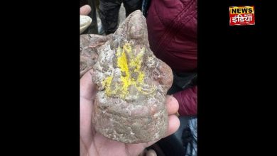 Sambhal Temple News: Evidence of buried temple found in Sambhal, first Shivling and now 3 fragmented statues