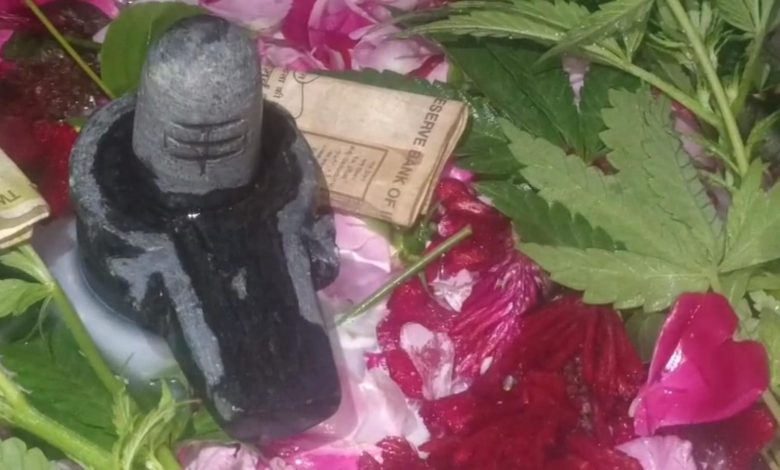 UP Ghaziabad News: Ancient Shivling appeared from the field in Mubarikpur Dasna of Mussoorie police station area, villagers called it a 'divine miracle'