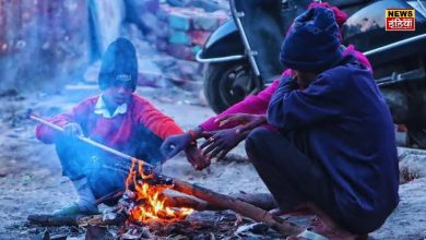 UP Weather Update: Bone-chilling cold will prevail in UP, IMD has issued alert in these districts