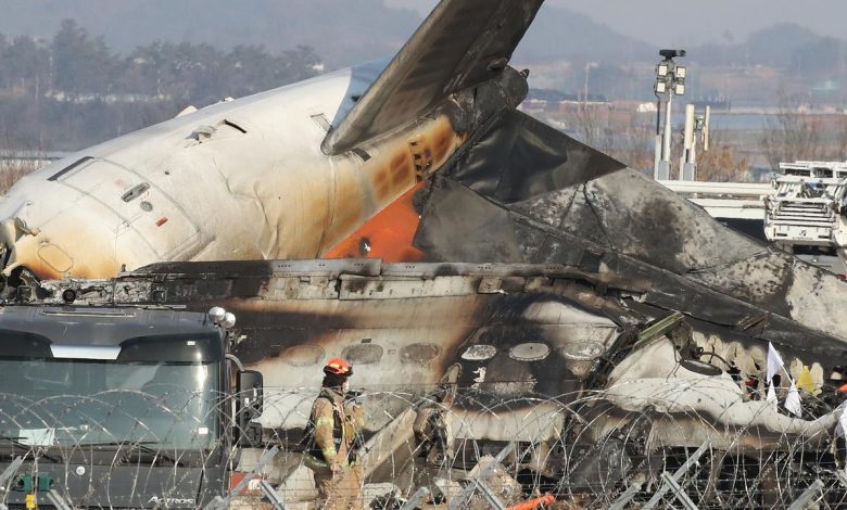 South Korea Plane Crashed: What happened minutes before South Korea's Jeju Air plane crashed?