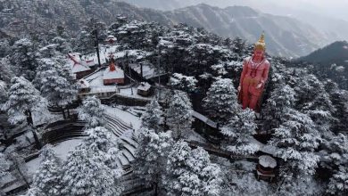 Himachal Pradesh Snow: Shimla and Manali covered in snow on Christmas, 4 dead, 223 roads closed, more than 70% crowd in hotels