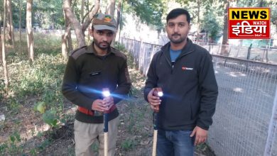 Almora youth created eco-friendly smart stick: Almora youth created eco-friendly smart stick: Helpful tool for forest personnel patrolling