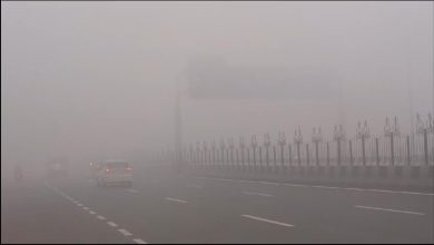 Up Ghaziabad News: Fog wreaks havoc in Delhi-NCR! Cold has knocked, life halted amid yellow alert