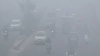 UP Weather Today: Severe cold wave in UP, IMD issues warning for 65 districts including Prayagraj