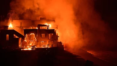 Fire Breaks Out in LA: Los Angeles is burning! So far 24 people have died, 12 thousand buildings destroyed, property worth 150 billion dollars destroyed