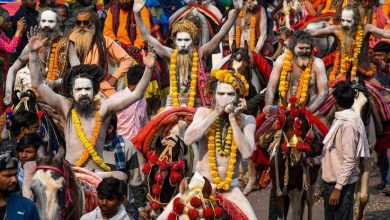 Mahakumbh 2025: How many types of Naga Sadhus are there?