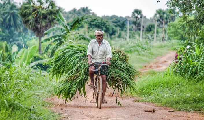 PM Fasal Bima Yojana: Modi cabinet gave a gift to the farmers, increased the allocation of PM Fasal Yojana