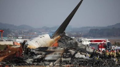 Korea Plane Crash: South Korea plane crash remains a mystery! Last 4 minutes of recording missing from black box