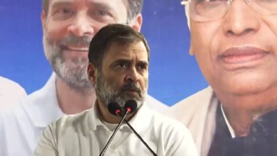 Delhi Elections 2025: Rahul Gandhi attacks Arvind Kejriwal