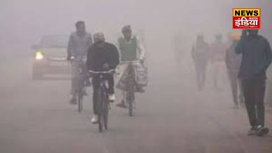 Lack of rain and cold wave warning in North India: IMD report