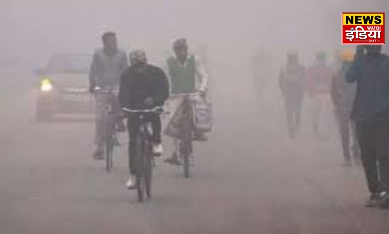 Lack of rain and cold wave warning in North India: IMD report