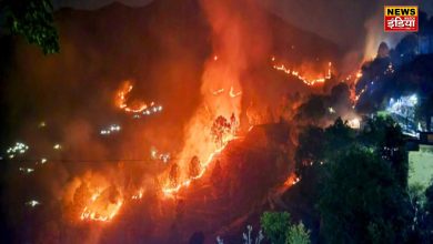 FOREST FIRE IN UTTARAKHAND: New strategy to deal with forest fire in Uttarakhand: Joint preparations of District Administration and NDMA