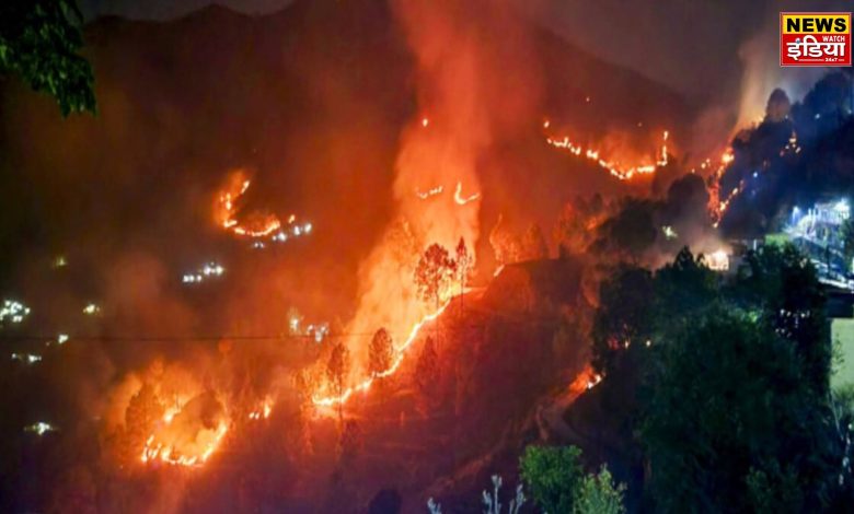 FOREST FIRE IN UTTARAKHAND: New strategy to deal with forest fire in Uttarakhand: Joint preparations of District Administration and NDMA