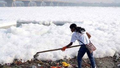 Delhi News: Good news! BJP government in action mode for cleaning Yamuna, prepared master plan