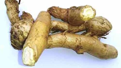 Turmeric Benefits: White turmeric is a panacea for cancer, consume it like this