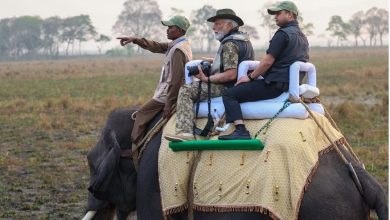 PM Modi Gujarat Visit: PM Modi did a jungle safari in Gir National Park, was seen in this style, see pictures