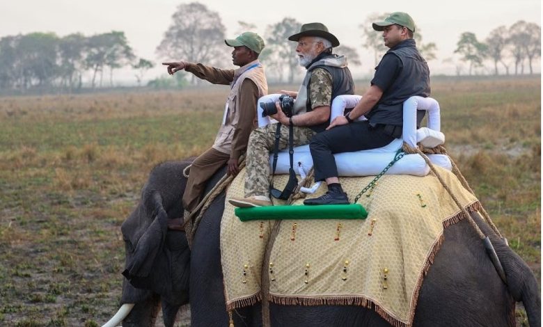 PM Modi Gujarat Visit: PM Modi did a jungle safari in Gir National Park, was seen in this style, see pictures