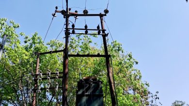 UP Bijnor News: Case registered for theft of wire and other equipment of 11 KV line of electricity department