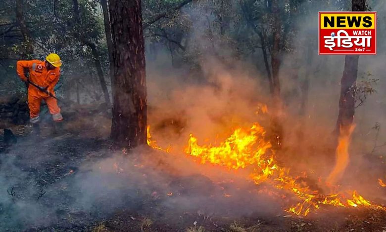 Uttarakhand Forest Fund Scam: Supreme Court reprimands Dhami government, seeks reply by March 19