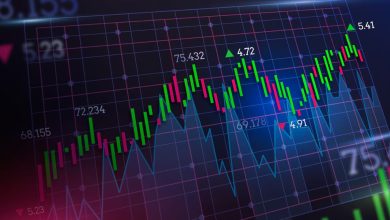 Huge surge in small stocks: More than 250 smallcap stocks gave double-digit returns, the biggest rise in the index since 2020