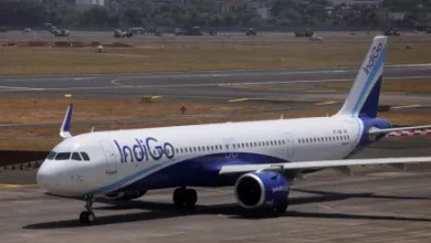 OMG! Mosquitoes attack IndiGo flight, passengers scratched their teeth and journey became difficult