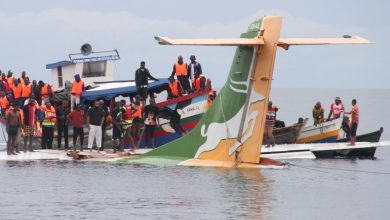 Plane Crash: The plane fell into the sea waving like a kite, all the passengers died, video went viral