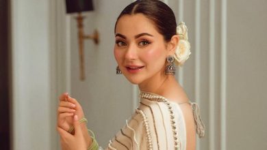 Haniya Post Viral: 'If you want water, tell me', Indian fans' funny comment on Aamir's post, memes go viral