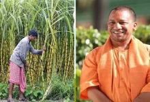 Uttar Pradesh News: UP farmers are in for a treat! Yogi government made a big announcement