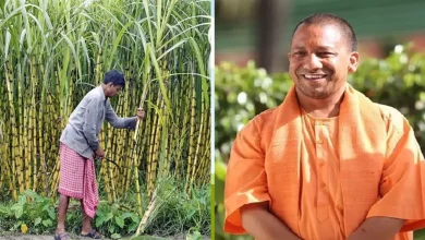 Uttar Pradesh News: UP farmers are in for a treat! Yogi government made a big announcement