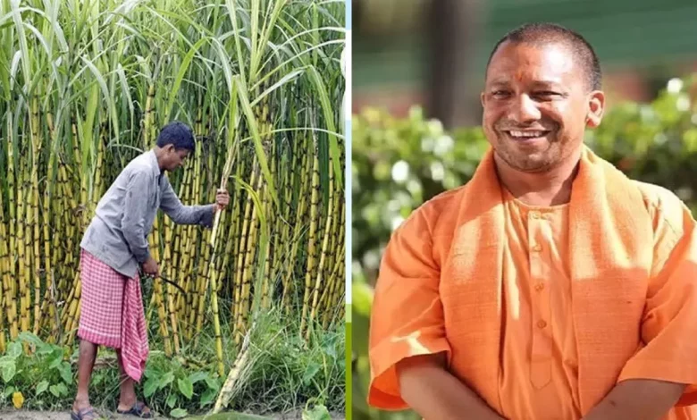 Uttar Pradesh News: UP farmers are in for a treat! Yogi government made a big announcement