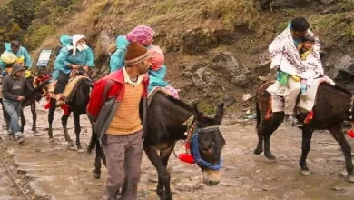 Operation of horses and mules resumed in Kedarnath Yatra, pilgrims got relief