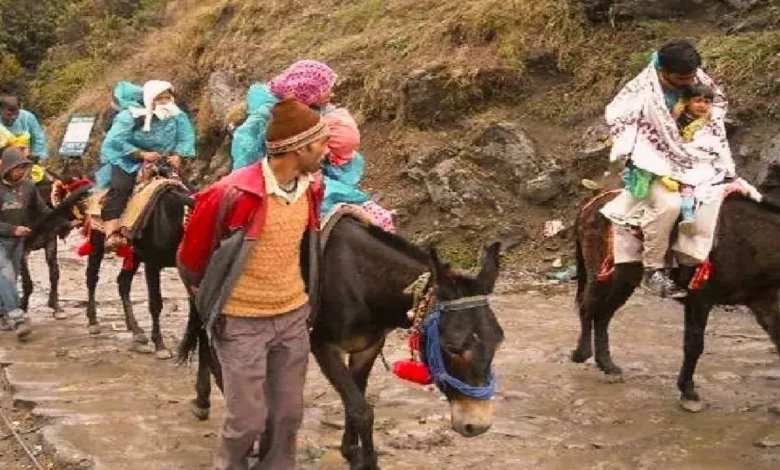 Operation of horses and mules resumed in Kedarnath Yatra, pilgrims got relief