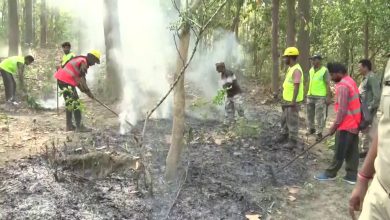 Wildlife in danger due to fire in Uttarakhand forests, forest department does not have data of loss