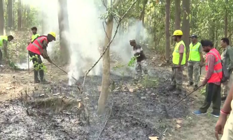 Wildlife in danger due to fire in Uttarakhand forests, forest department does not have data of loss