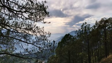 Rain forecast for six days in Uttarakhand, temperature drops in Chardham, severe cold
