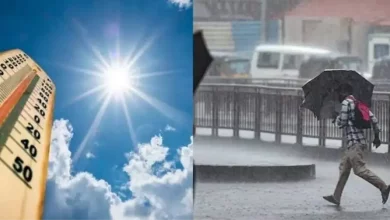 Weather Forecast: Heat wave in North India, heavy rain in South and Northeast, alert issued