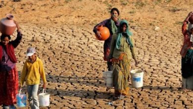 Jalore Water Crisis: Rajasthan's Kamba village yearns for every drop of water, both humans and animals are troubled by the water crisis