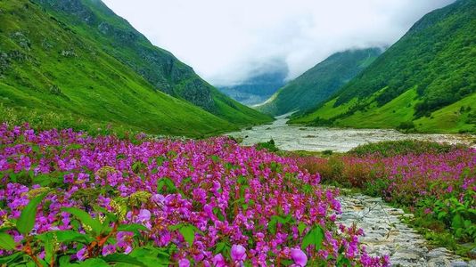 The beauty of the Valley of Flowers is opening up with the Chardham Yatra, the trekking season will start from June 1
