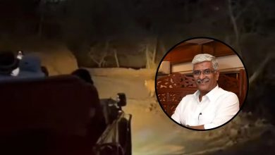 Gajendra Singh Shekhawat: Ruckus over Union Minister Gajendra Singh Shekhawat's night jungle safari in Ranthambore, video of watching tigers in headlights goes viral