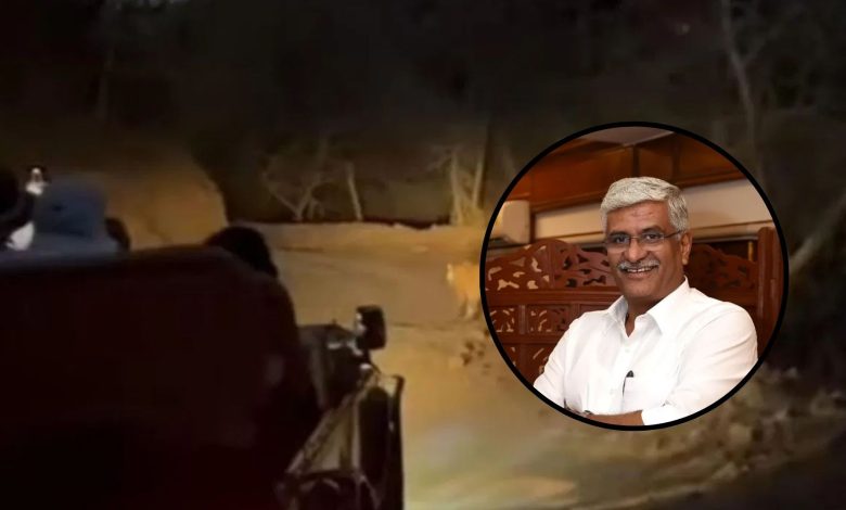 Gajendra Singh Shekhawat: Ruckus over Union Minister Gajendra Singh Shekhawat's night jungle safari in Ranthambore, video of watching tigers in headlights goes viral