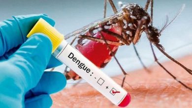 Dengue knocked prematurely in Uttarakhand, 41 patients infected so far, health department on alert mode