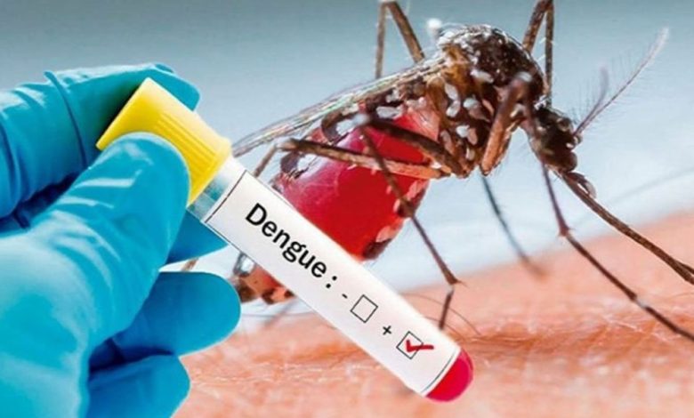 Dengue knocked prematurely in Uttarakhand, 41 patients infected so far, health department on alert mode