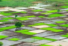 India Meteorological Department News