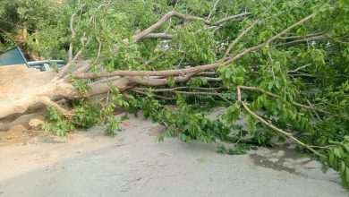 Haryana Weather