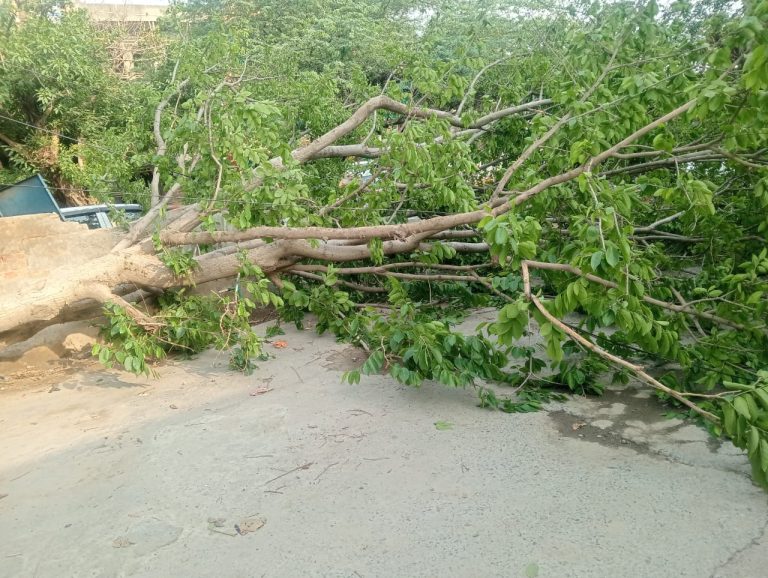 Haryana Weather