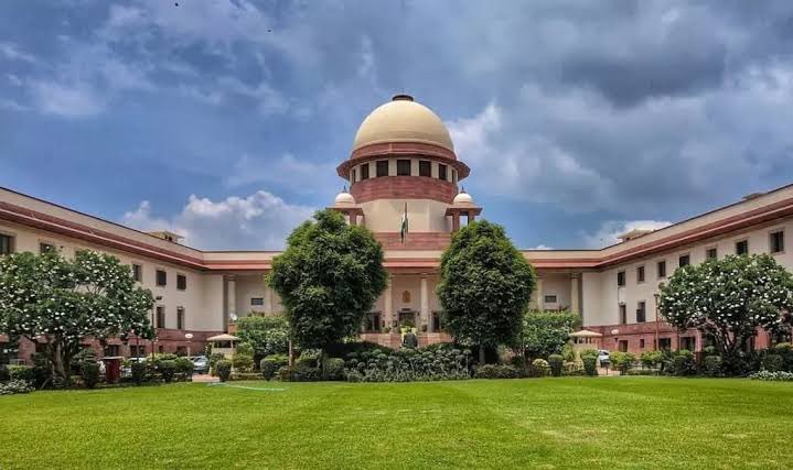 supreme court on Maternity Leave