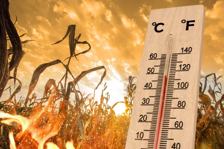 UP Weather Update: Uttar Pradesh in the grip of severe heat, Meteorological Department issued heat wave alert
