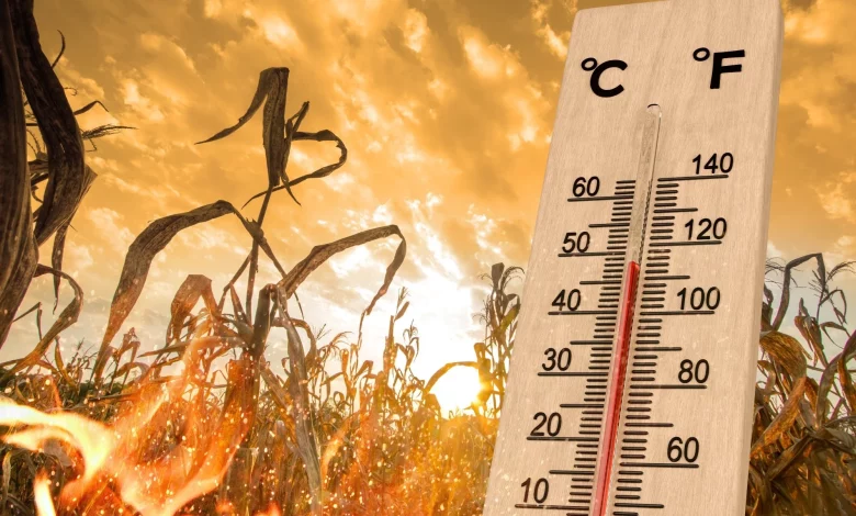 Up Weather Update: Heat wave in UP! Mercury crosses 45 degrees, heatwave alert issued